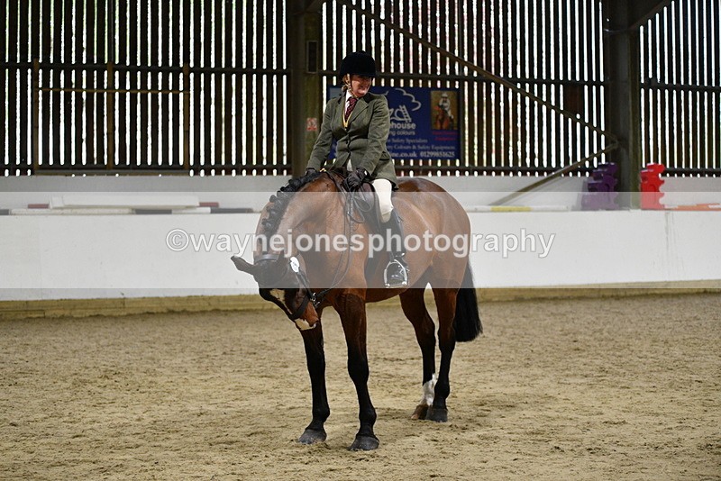 WJ5_8977 - Class 15 Ridden Show Horse