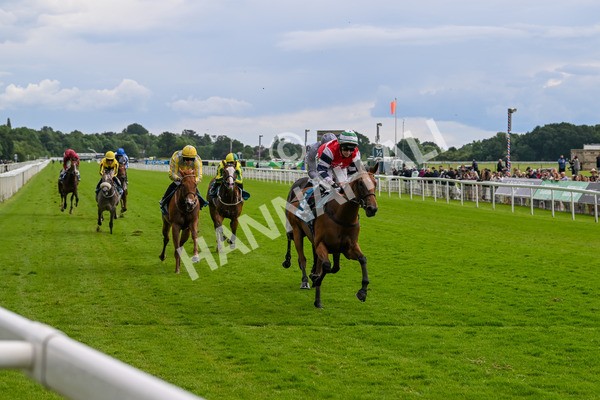 140624-Race 4-Havana Gila-4497 - Race 4 3.35pm Seat Unique Ganton Stakes