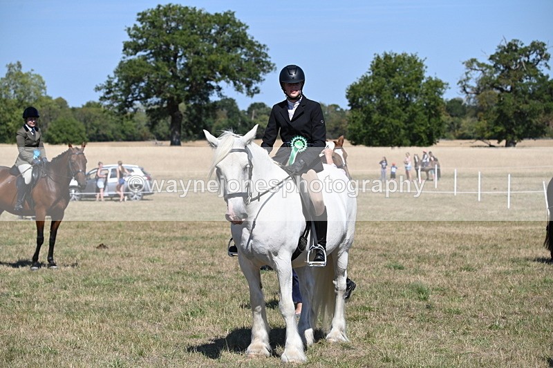 WJ6_8516 - Class 37a Best Loan Pony Ridden