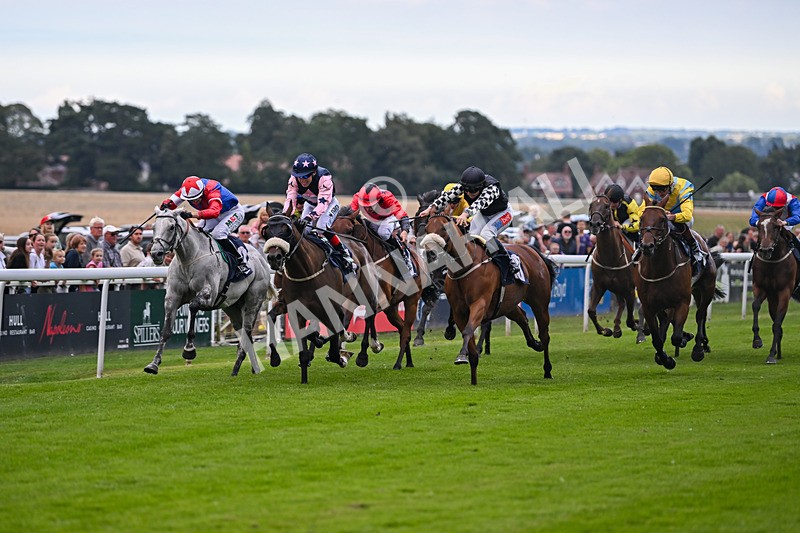 290725-Race 7-King Sharja-1247 - Race 7