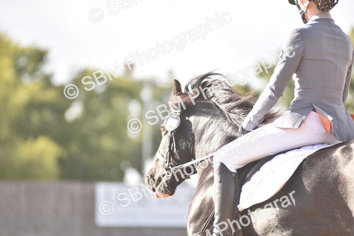SBM_53206 - D24 - Junior Championship Prelim 3