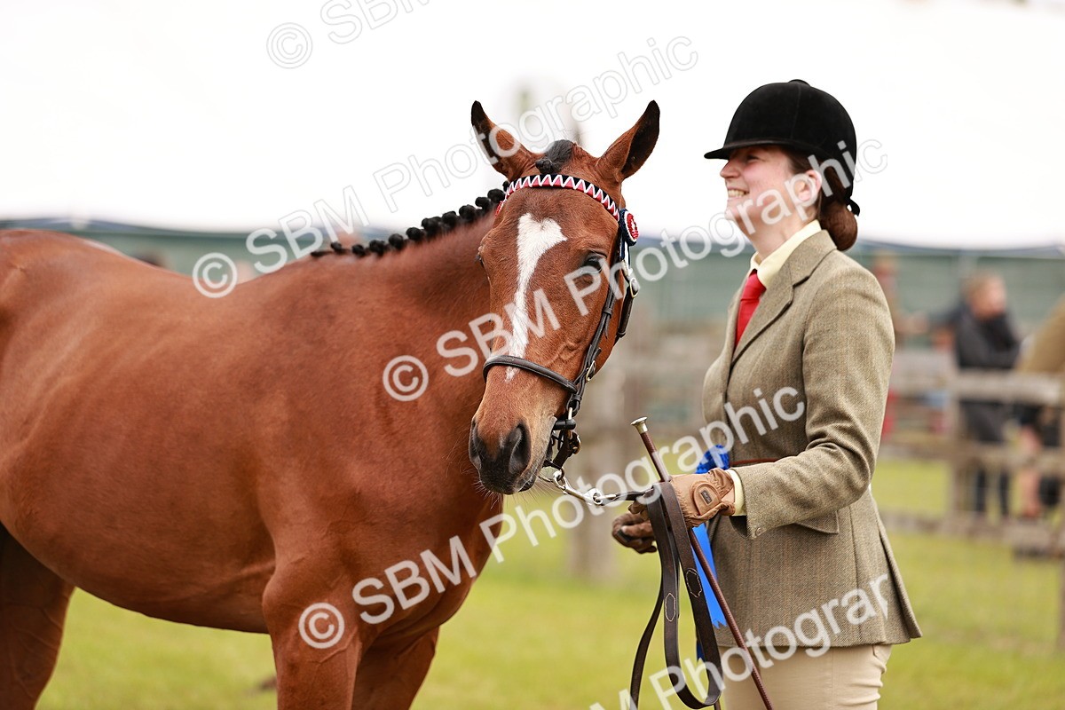 SBM_04783 - Class 35-38 Riding Horse Breeding