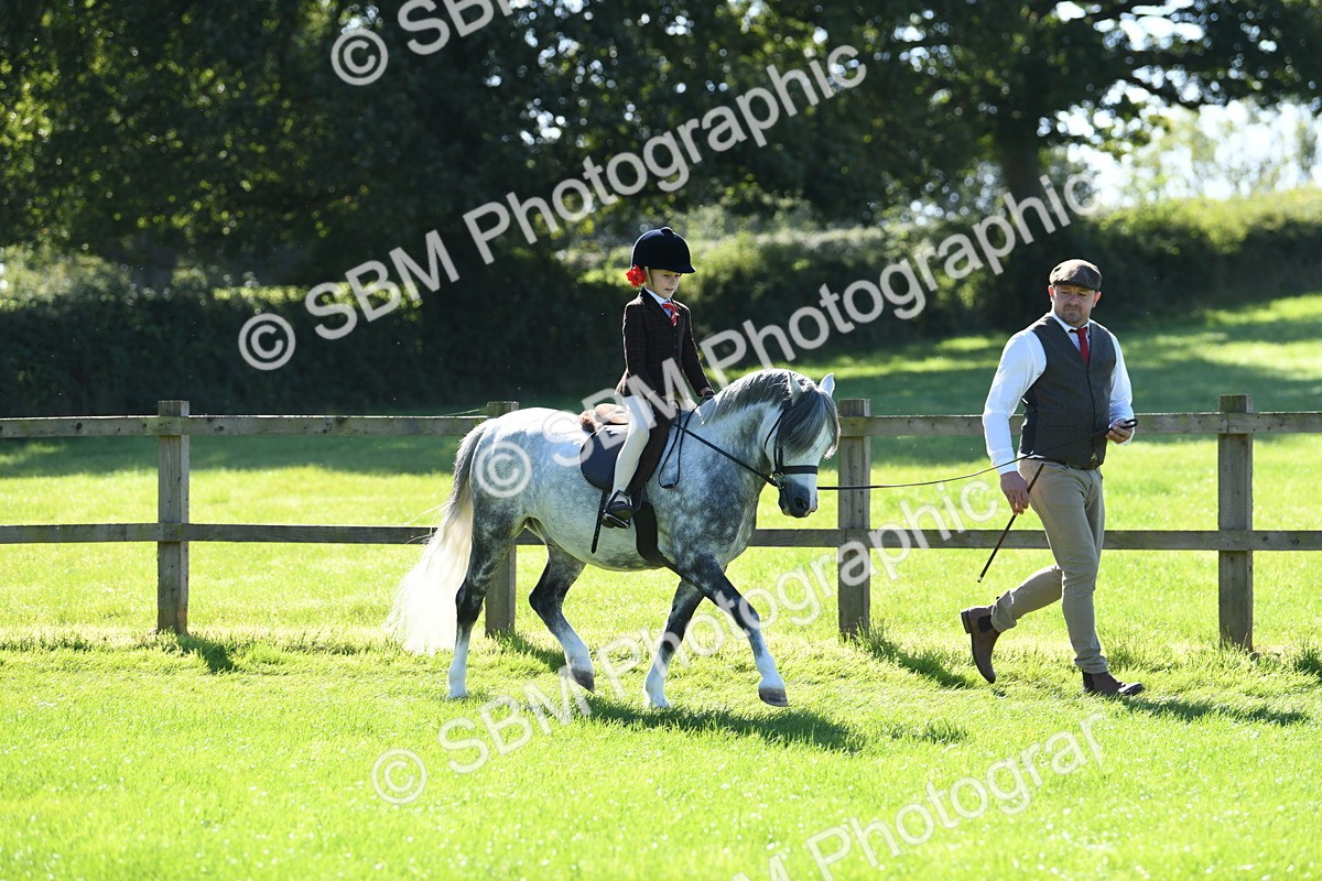 SBM_39513 - S18 - Novice & Newcomers Lead Rein Pony