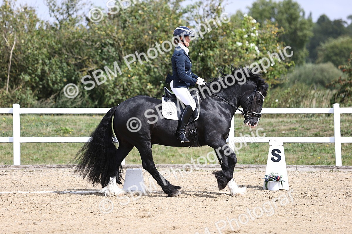 SBM_016724 - Class 14 Novice 23 - 11.53-12.56