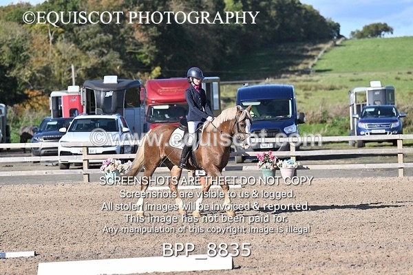 BPP_8835 - SHORT ARENA INTRO 2