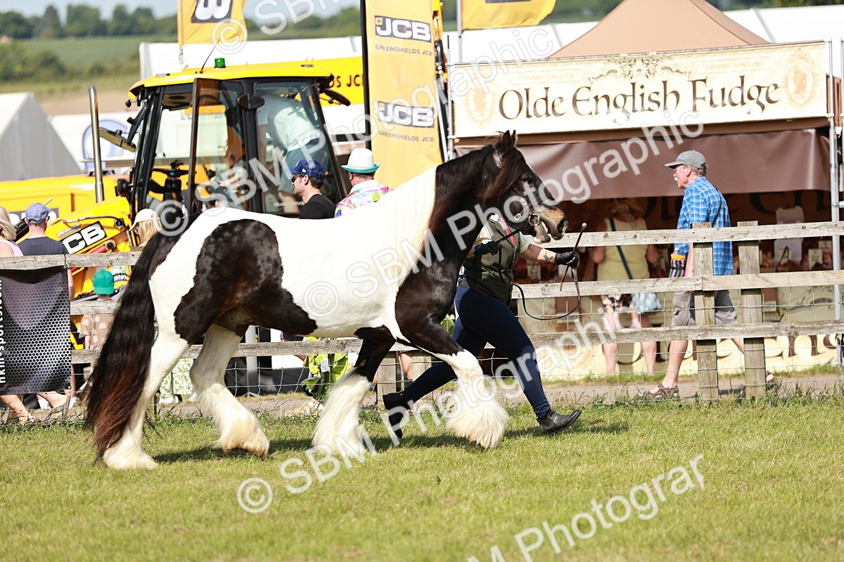 SBM_08761 - Class 63-65 - Traditional Gypsy Cobs In Hand & Ridden