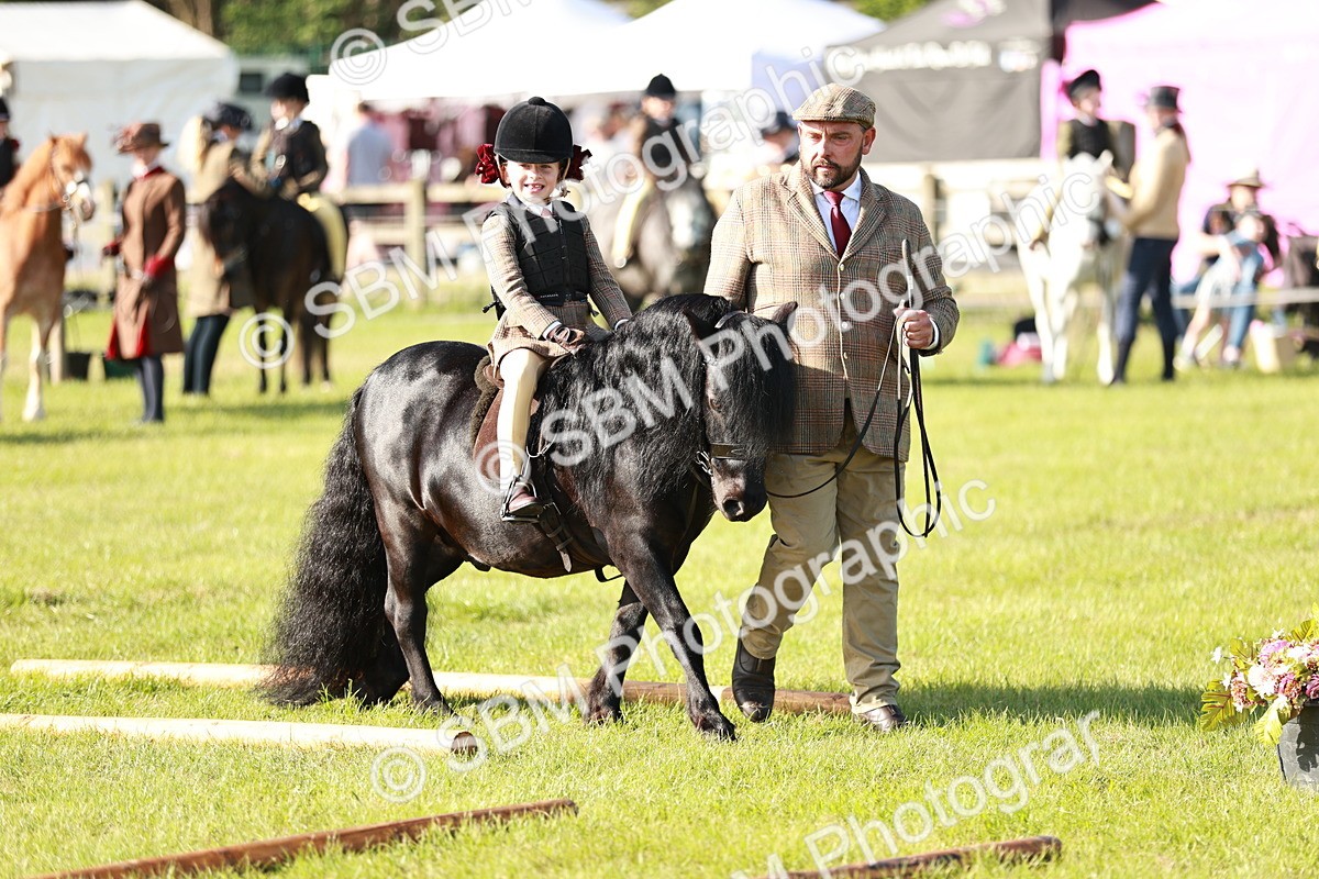 SBM_11166 - Class 106-107 - BSPS LIHS Working Sports Pony