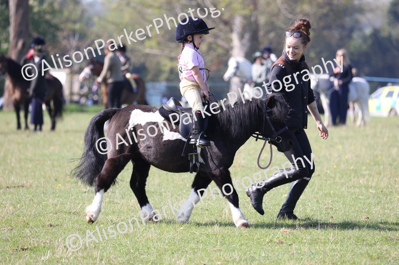 20250427-0165 - Class 30 - Tiny Tots Lead Rein