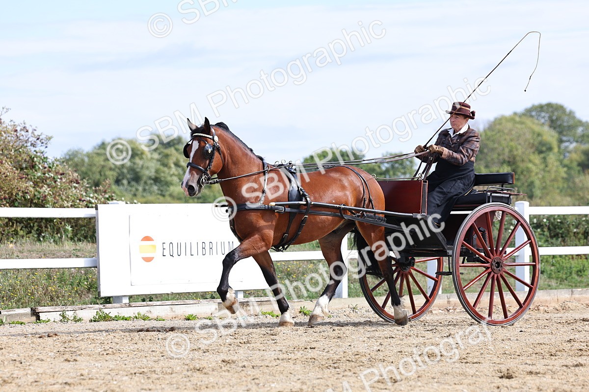 SBM_000918 - Class 8 - Novice Horse or Pony to any vehicle
