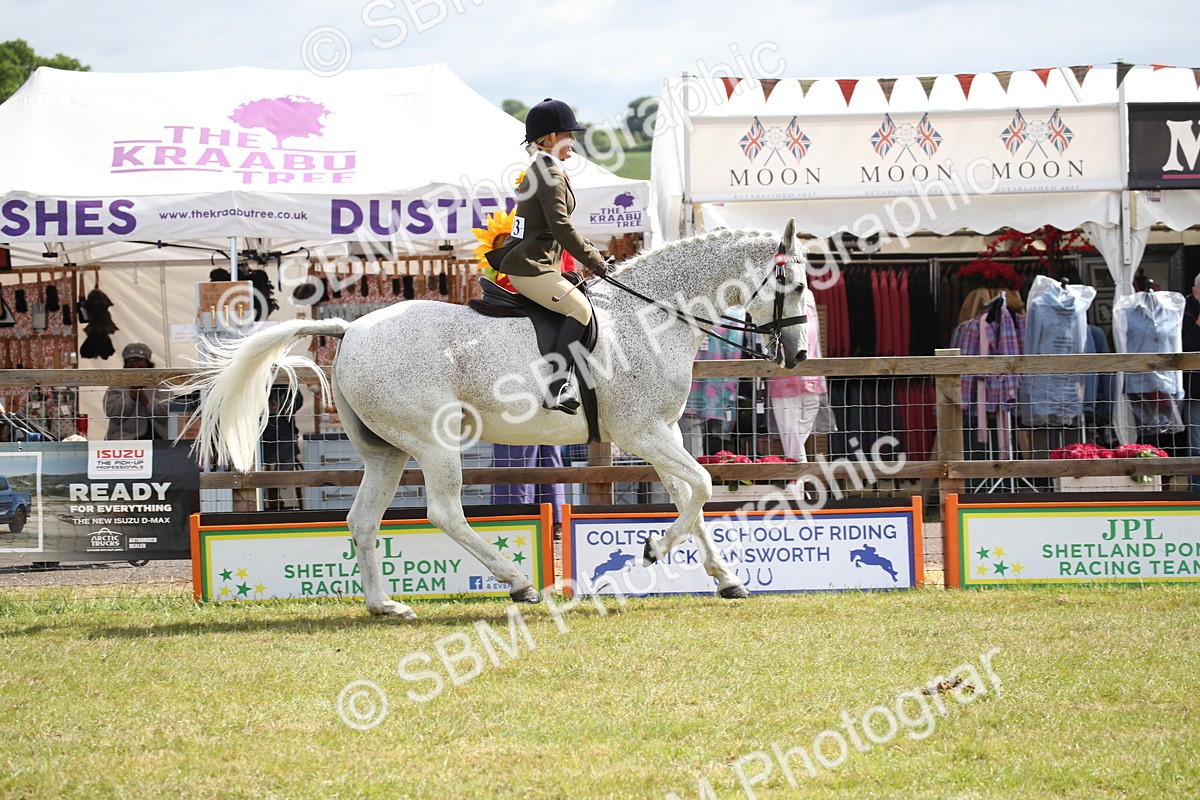 SBM_13214 - Class 95-96 - LIHS BSHA Rising Star Hack Riding Horse