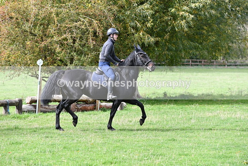 WJ5_9313 - Time 13:03 to 13:25