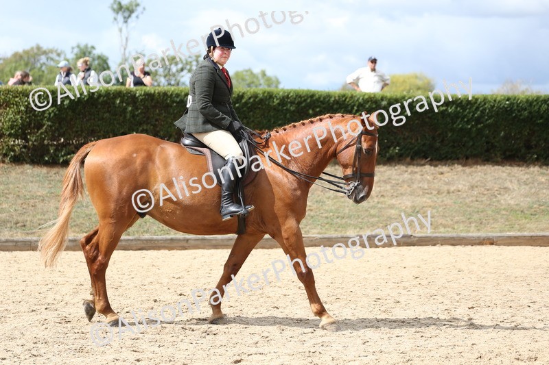 20260831-2697 - Class 16 and 17- Ridden Cob and Hunters