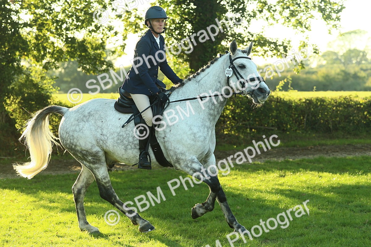SBM_55598 - S14 - Riding Club Horse