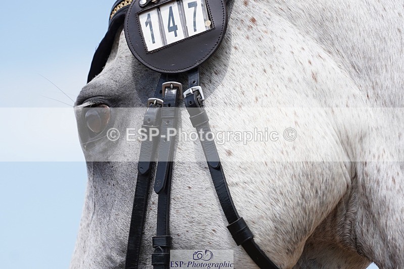 250621-134218-09355 - RoR Cls 2b-2c, Intro