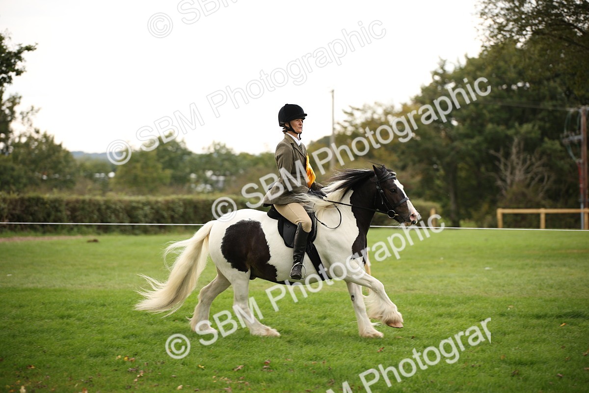 SBM_73602 - S68 - Traditional Cob Ridden
