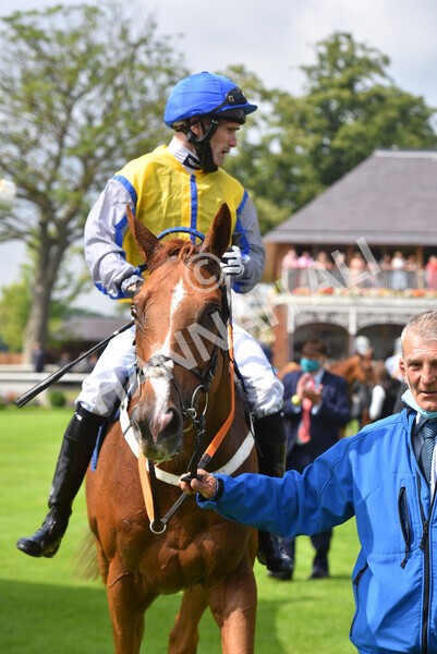 yr10072021r3-37 - Race 3: 2.55pm John Smith's Stayers Stakes