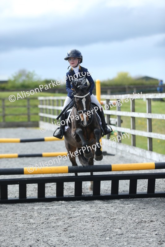 20260412-1803 - Show Jumping