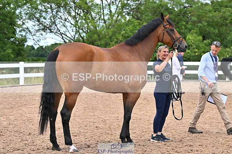 240718A-105322-01904 - Trot Up 2pm to 3pm - This folder is not in time order