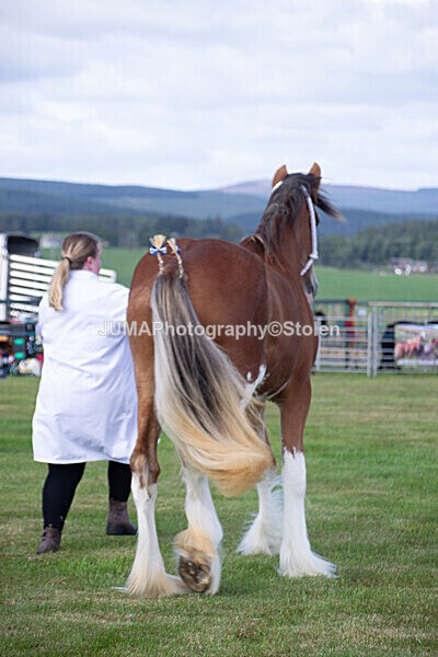 DSC_0138 - Ring 1