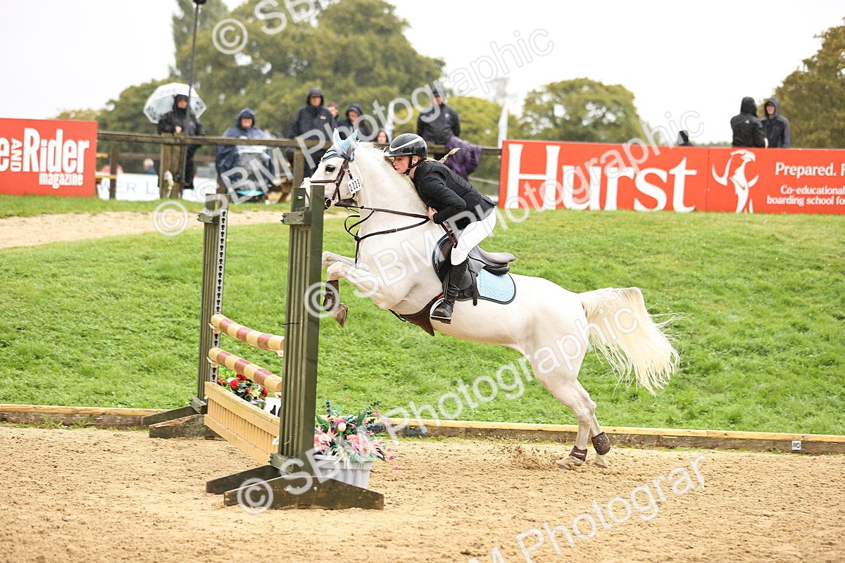 SBM_70038 - Supreme Championship 80cm 85cm
