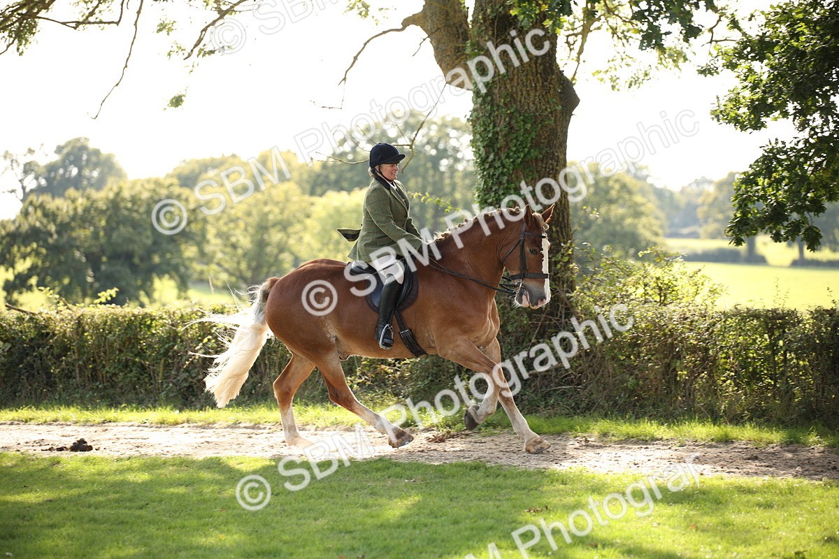 SBM_50126 - S26 - Young Veteran - Ridden