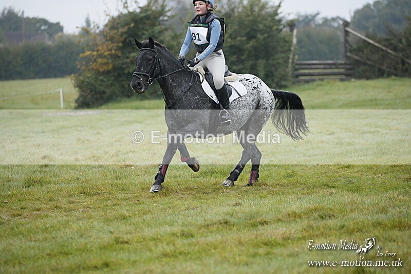 WWHT 181020 WWHT 181020 194 - WWEC Novice Restricted (0.80m) 18/10/20