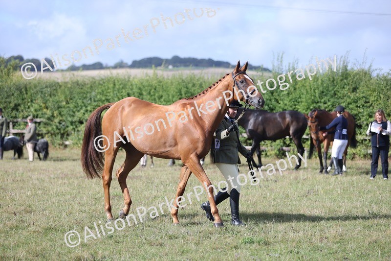 20250831-1415 - Class 21 - Inhand Open