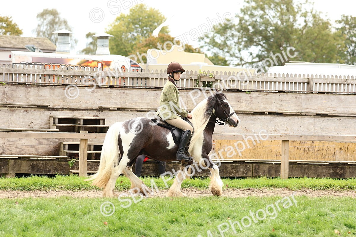SBM_64417 - S58 - Coloured Pony Ridden