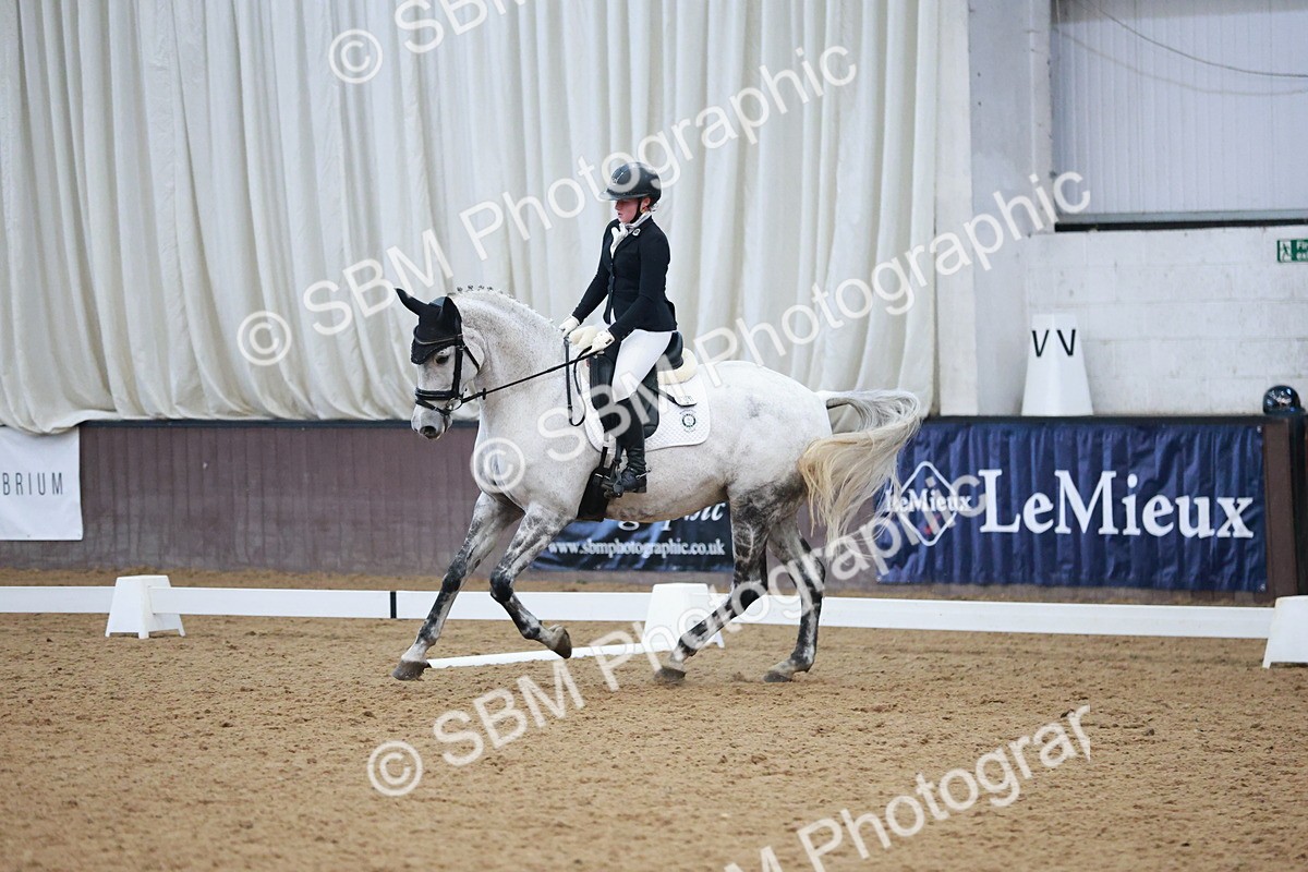 SBM_004532 - Ring 3 - International -  Working Hunter Classes 23-2-25
