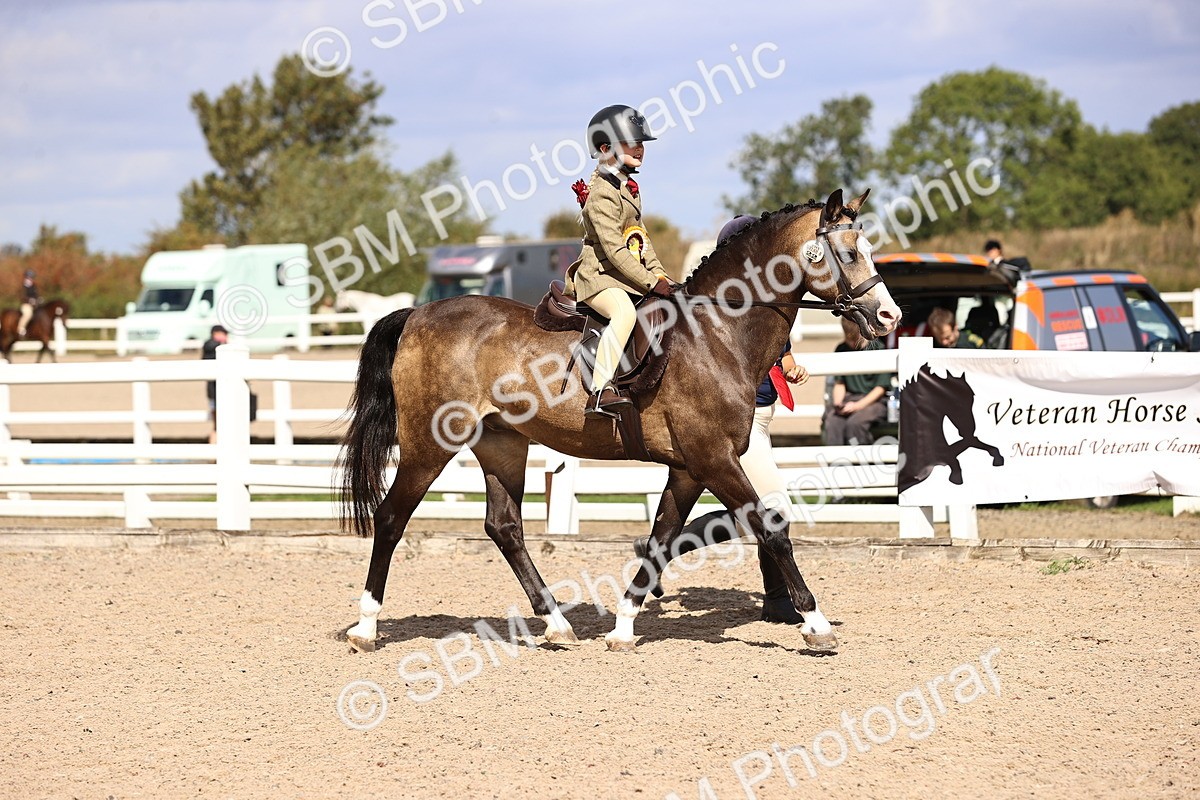 SBM_12899 - Class 409 - Grassroots Ridden - Pony