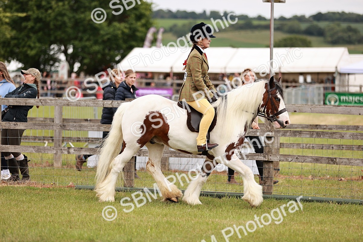 SBM_06114 - Class 39-41 TGCA In Hand and Ridden