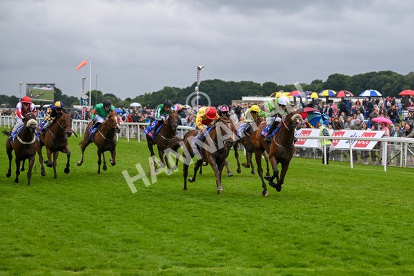 150624-Race 2-Tolstoy-6865 - Race 2 2.25pm Sky Bet Proud To Support Macmillan Handicap