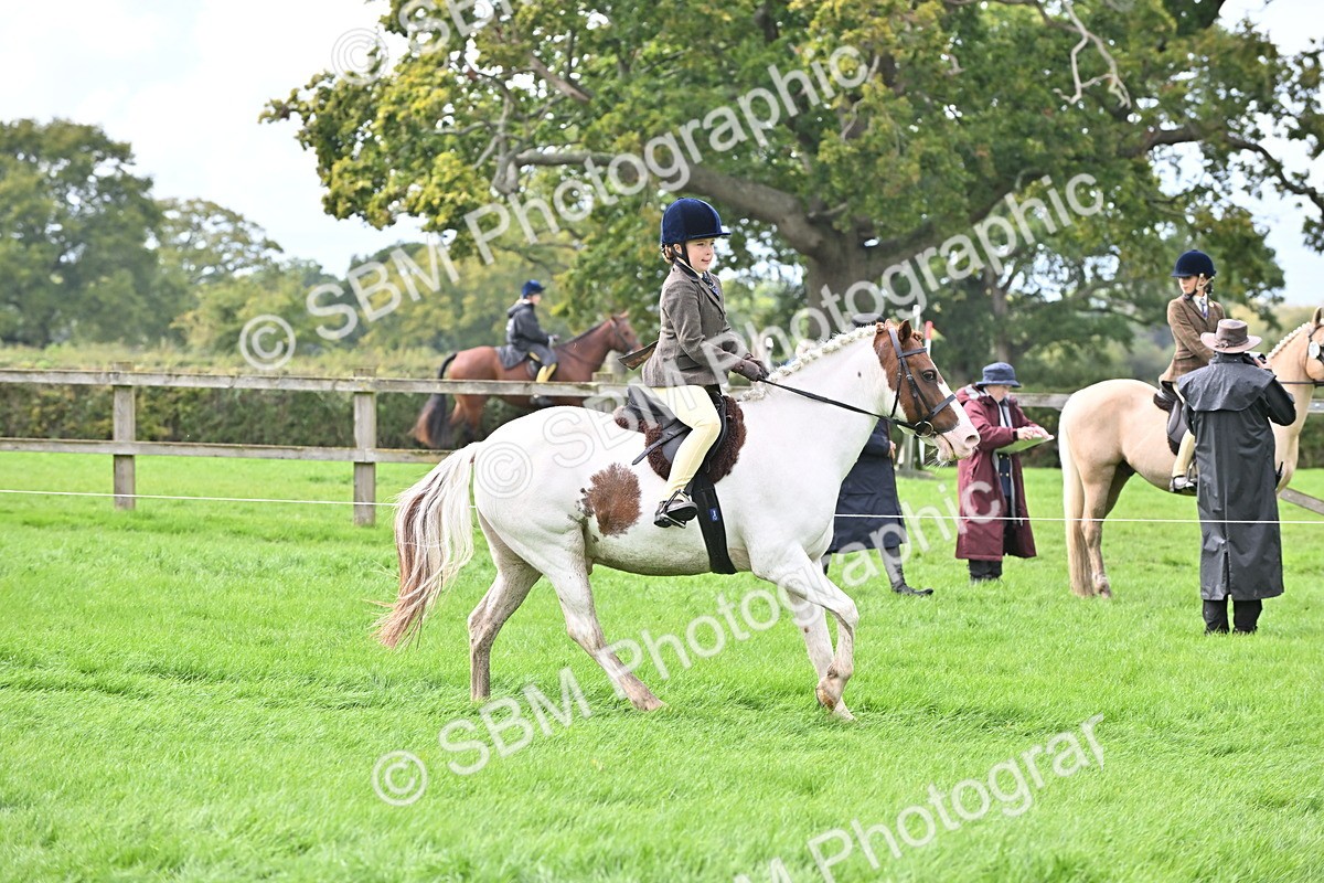 SBM_44478 - S13 - Pony Club Pony