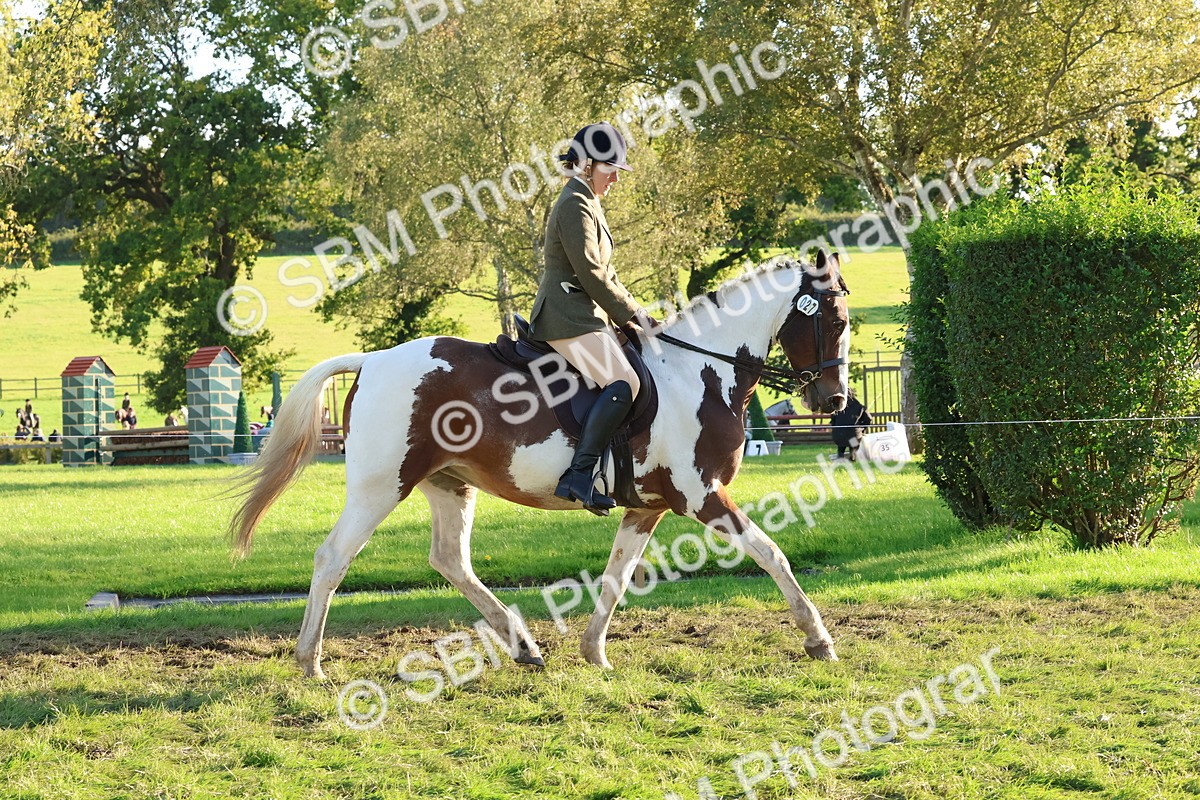 SBM_52992 - S29 - Mature Veteran Ridden