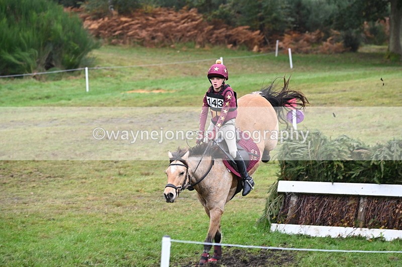 WJ6_2482 - 80cm Cam 1 Time 11:23 to 12:04