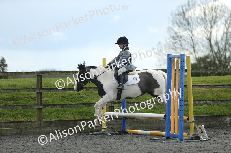 20260412-1963 - Show Jumping