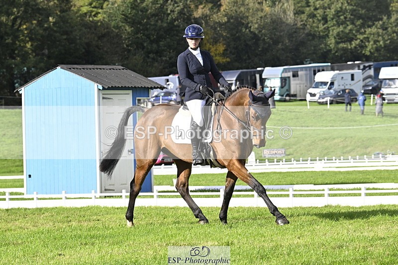 251023A-150806-04524 - E-386-Zara.Head