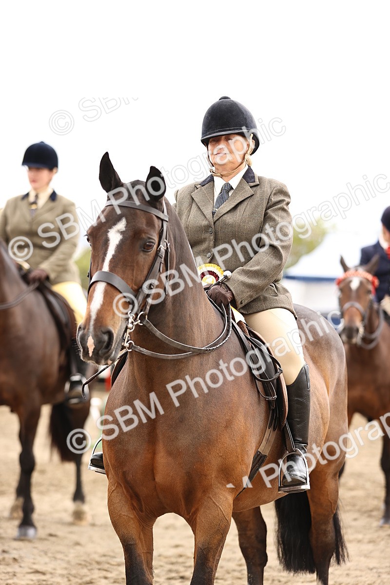 SBM_00362 - Class 52 - Ridden Veteran