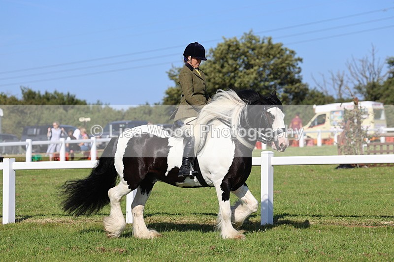 IMG_1469 - Class 30: Ridden Native/Trad Coloured Pony