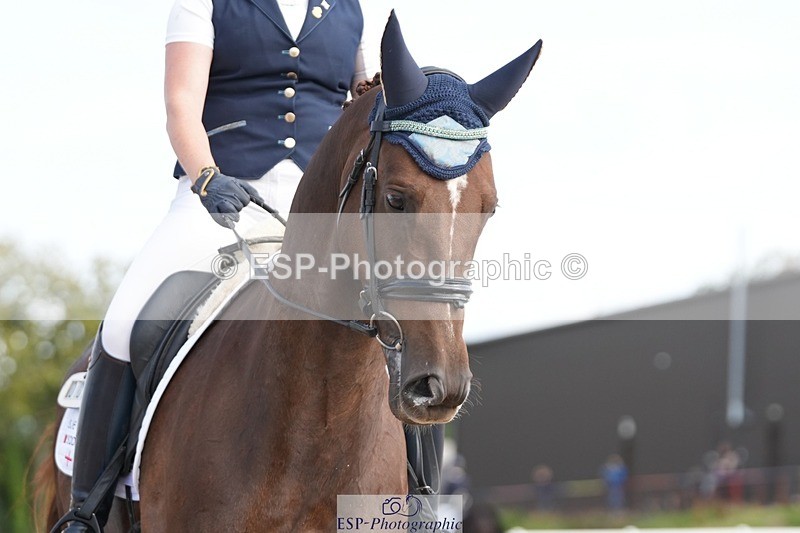 250906-103938-01521 - 006-Verity.PerryVogue