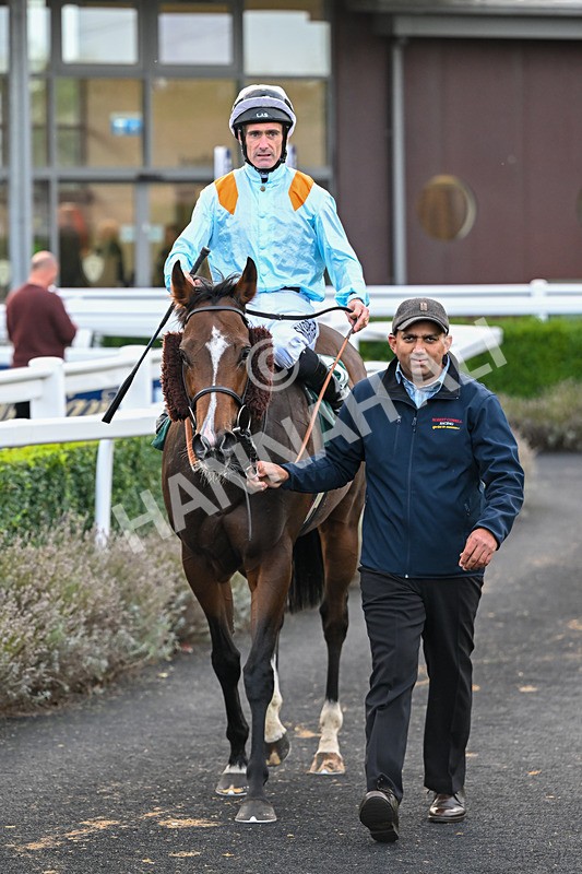 171026-Race 7-Lexington Blitz-6428 - Race 7 4.45pm William Hill Catterick Dash Handicap