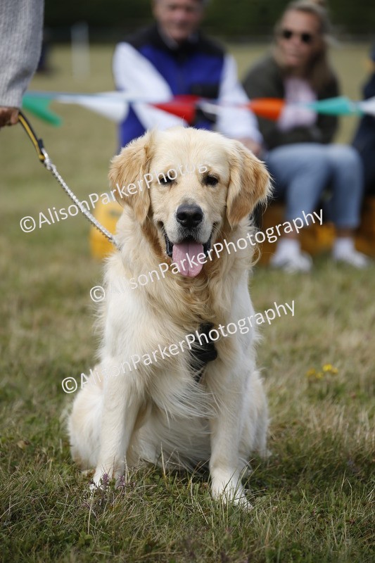 20250831-3642 - Dog Show