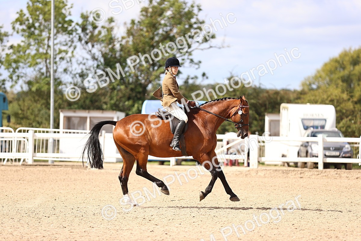 SBM_12933 - Class 410 - Grassroots Ridden - Horse