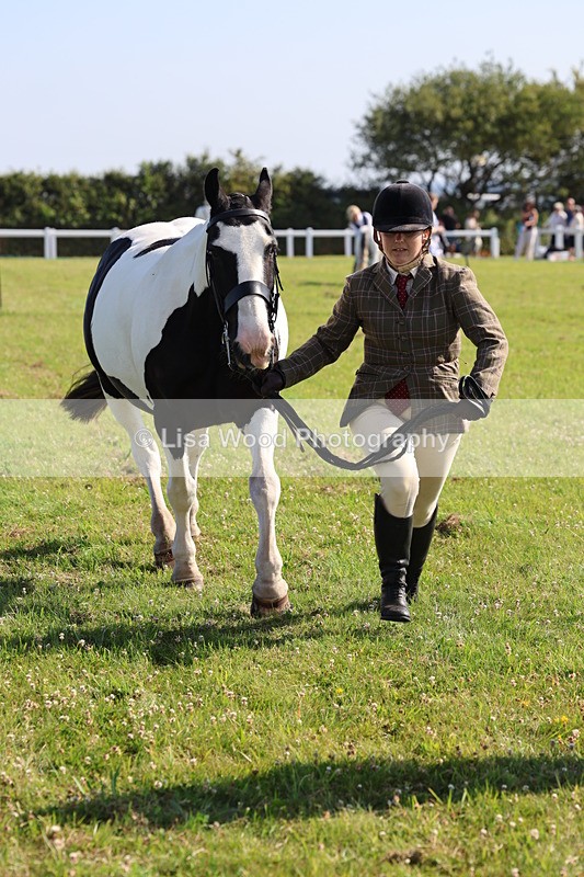 IMG_1592 - Class 30: Ridden Native/Trad Coloured Pony