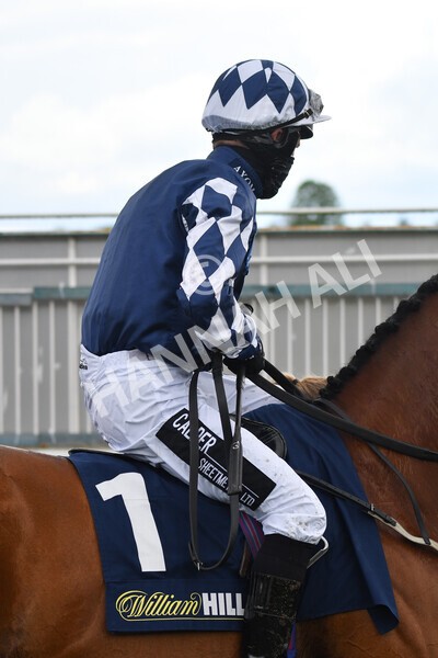 yr22052021r4-10 - Race 4 3.50pm WilliamHill.com Best Odds Guaranteed Stakes