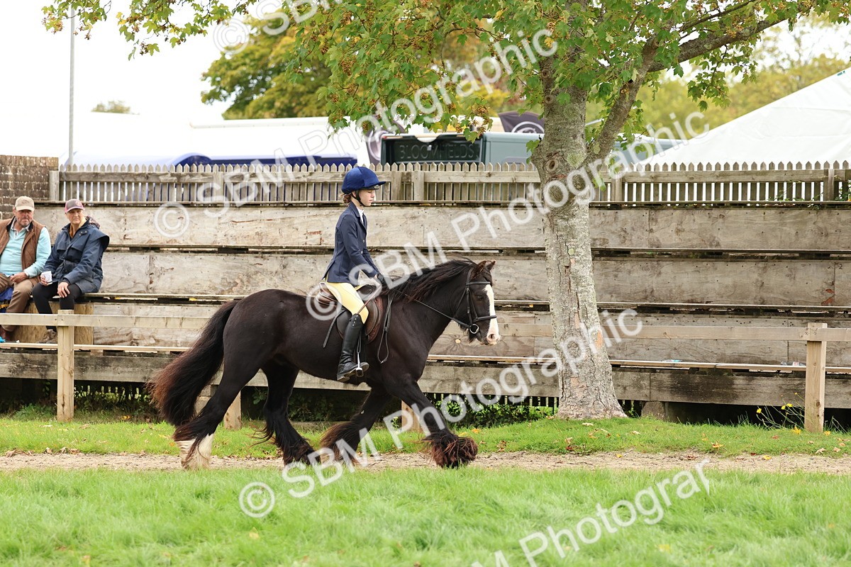 SBM_67524 - S60 - Mini Show Cob Ridden