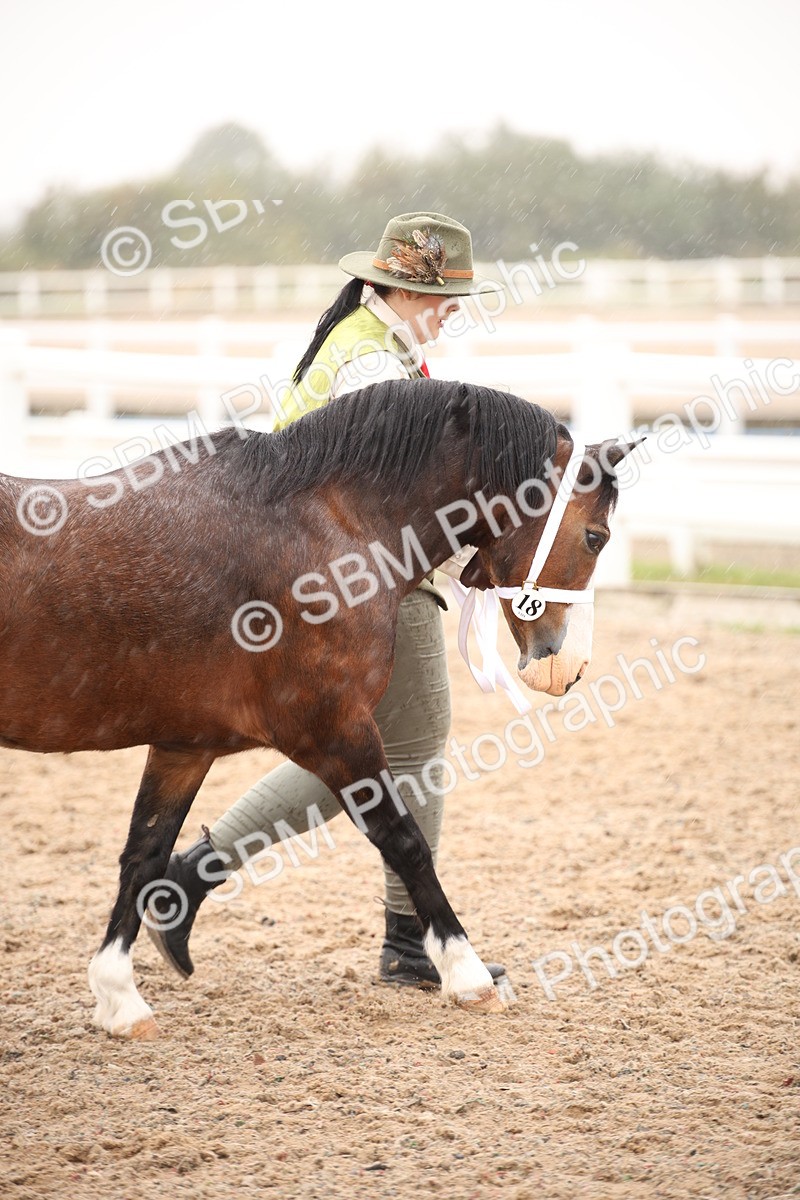 SBM_20244 - Class 704 - IH Rescue