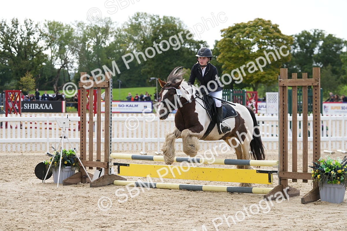 SBM_40733 - Supreme Championship Pony 50-55cm
