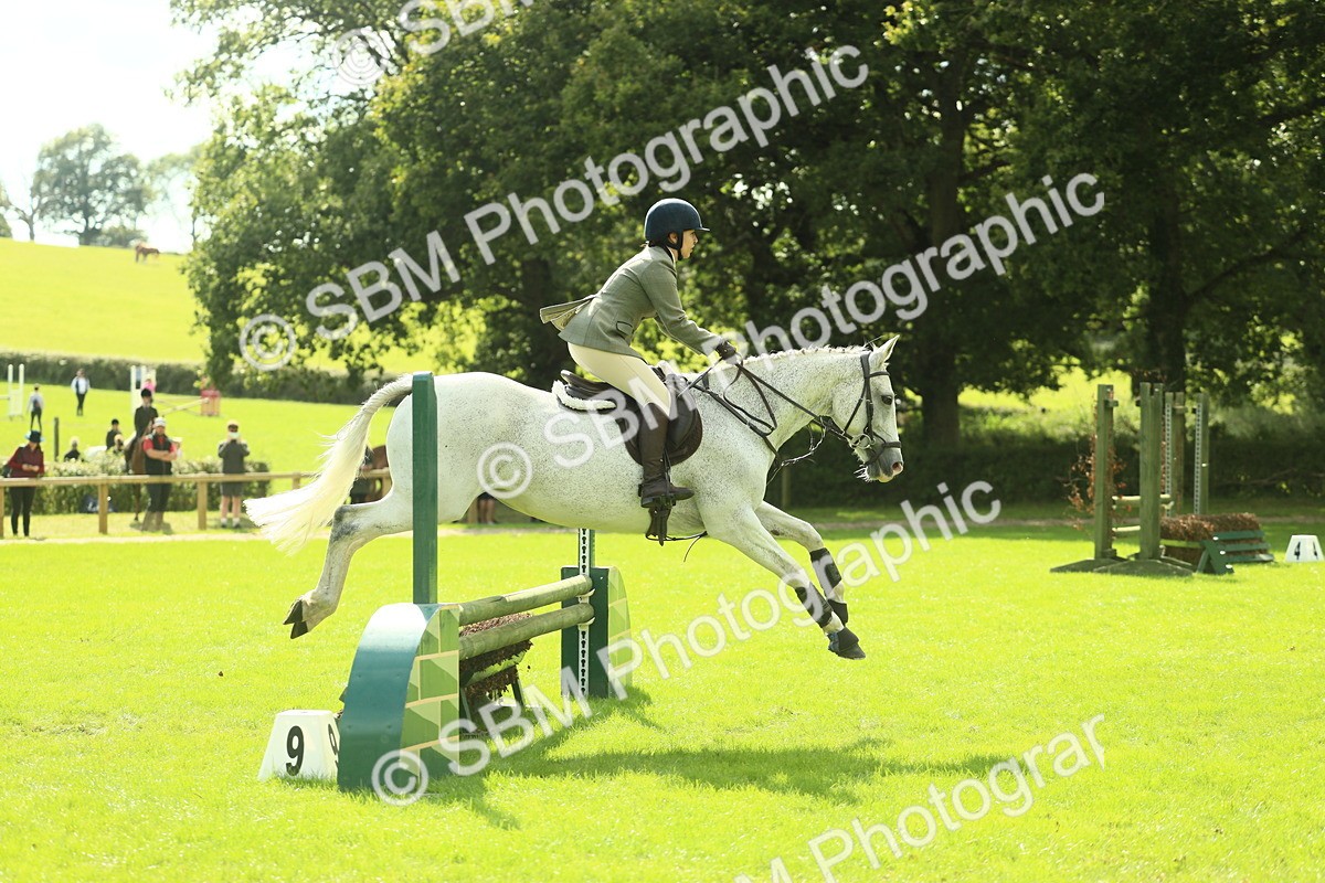 SBM_47921 - S32 - Novice & Newcomers Working Hunter