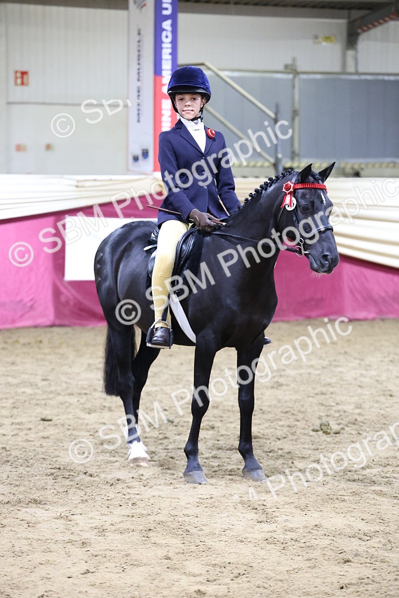 SBM_20934 - Class M - Equitation Champ